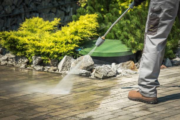 Best Pre-Holiday Cleaning  in Vineland, NJ
