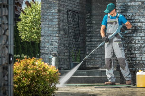 Best Animal Enclosure Cleaning  in Vineland, NJ